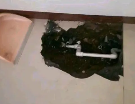 太湖卫生间测漏水多少钱